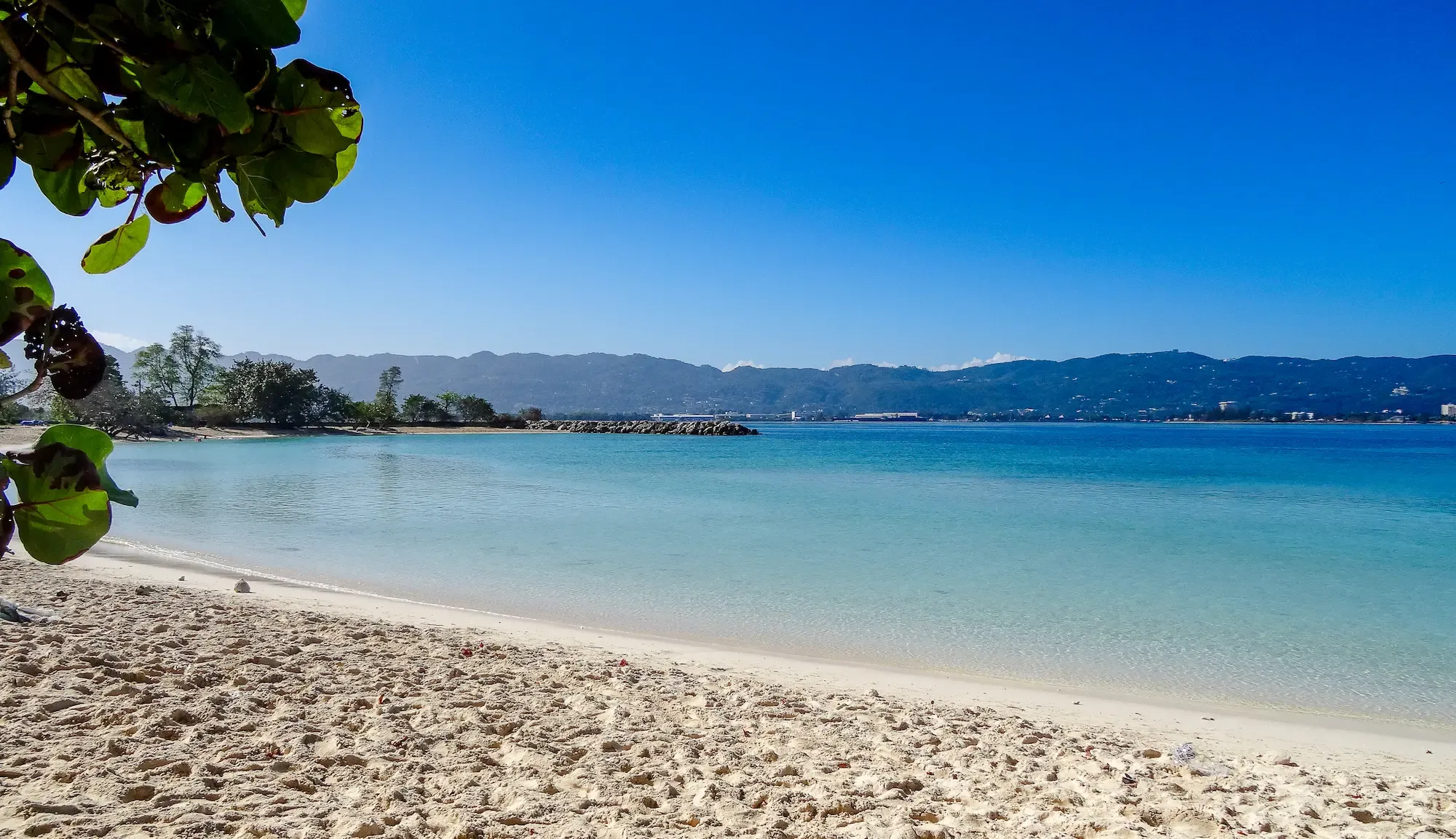 Sandy Montego Bay shoreline and blue water framed by leafy branches